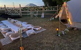 Country Bumpkins Luxury Glamping